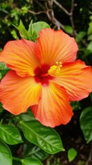 Exotic flower with transparent lens as natural bloom element