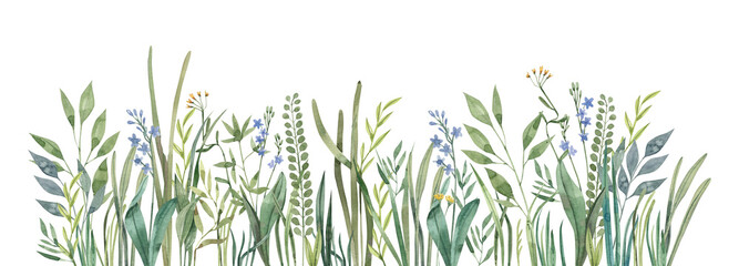 Obraz premium Watercolor illustration meadow, juicy grass and field plants on a white background. Nature banner.