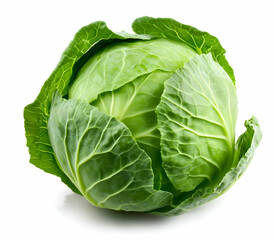Fresh green cabbage with crisp leaves, perfect for healthy salads and cooking. A staple vegetable for nutritious meals.