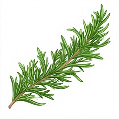 Fototapeta premium Lush Green Rosemary Sprig Showcasing Needle-Like Leaves and Freshness