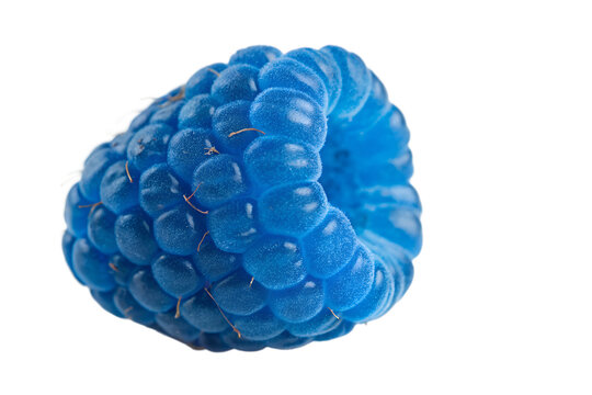 blue raspberry on transparent background