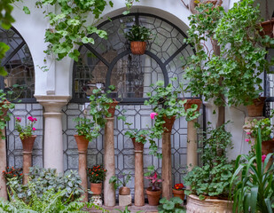 Greenery and colourful flower pots decorate the walls of courtyards and patio gardens of Cordoba, Andalusia, southern Spain. 