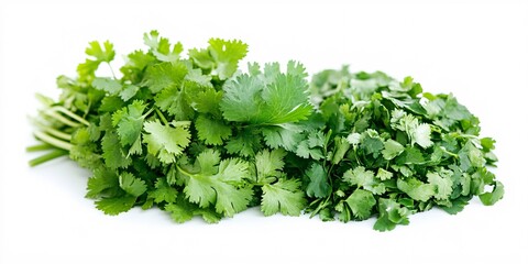 Obraz premium Aromatic Cilantro and Assorted Green Herbs Beautifully Displayed on White Surface