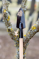 Small gardening trowel on a lichen-covered tree branch. Uprooting and transplanting plants. Blurred background. Shallow depth of field.