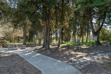 Picnic area with pine trees and tables at the Bar'am National Park in northern Israel near the Lebanese border.

