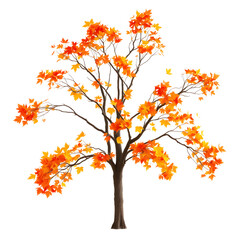 Fototapeta premium A tree with autumn leaves. png isolated background. transparent background