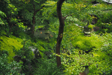 Obraz premium Traditional Japanese garden art