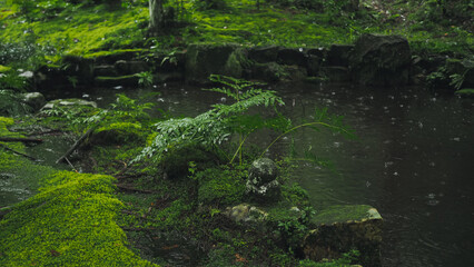 Traditional Japanese garden art