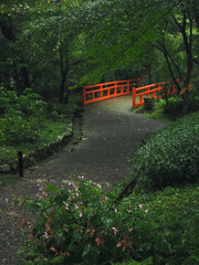 Fototapeta premium Traditional Japanese garden art