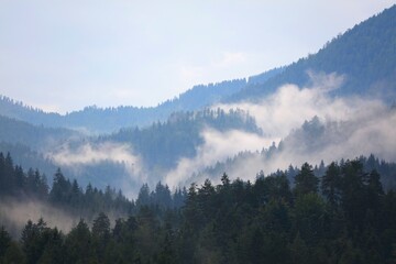 Fototapeta premium Misty weather in Gailtal Alps in Carinthia, Austria