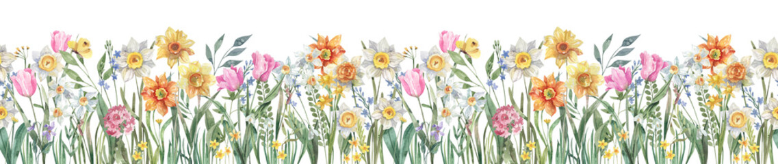 Watercolor illustration seamless floral border with bright spring flowers, daffodils, tulips, primroses,hand draw