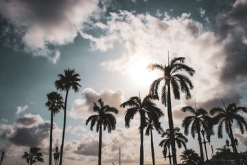 a silhouette of several palm trees against a cloudy sky, with the sun positioned behind the clouds, creating a bright glow. nature landscape background.