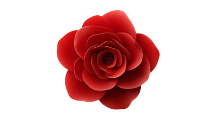 Fototapeta premium Red rose on plaid, romantic floral arrangement on a patterned background for valentine's day