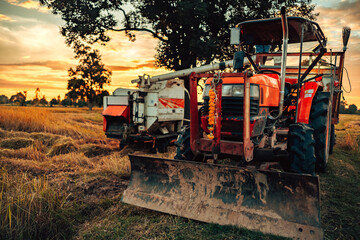 tractor and truck, one with a harvester attachment, work together during sunset in a rice field, highlighting a productive evening in rural agriculture. Farmer working with machine manufacturing