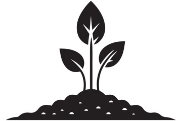 Young Seedling Plant Growing in Soil Illustration for Gardeners