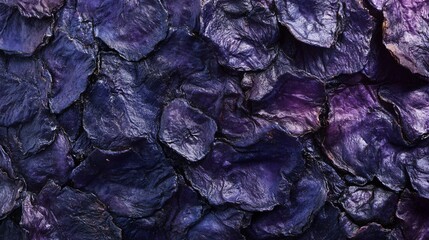 Obraz premium A macro shot of dried blueberries, their deep purple surfaces showing intricate wrinkled textures