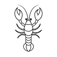 vector illustration of a lobster