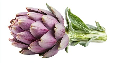 A single artichoke isolated on a transparent white background 