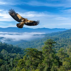Obraz premium Majestic eagle soa gracefully over misty mountain range with blue sky and breathtaking scenery captured in stunning detail