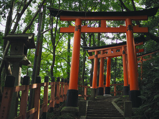 Torii in Kyoto 