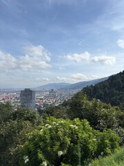 Vista hermosa de la ciudad con vegetaci&oacute;n