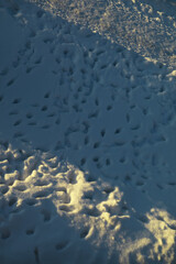 Winter Sunset on Snowy Landscape with Footprints in Fresh Snow