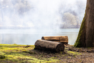 A foggy tranquil morning on Mayfield Lake