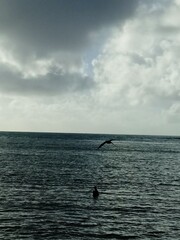 La mer et les nuages en soirée