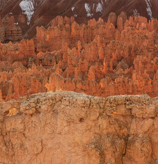 Hoodoos Glowing at Sunset, Bryce Canyon National Park