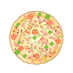 pizza topped with vegetables and meat without background