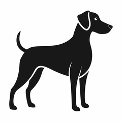 black dog isolated on white