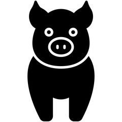 Fototapeta premium Pig