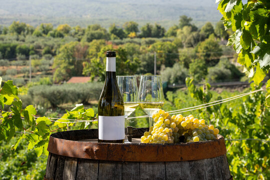 White wine and grape bunch on barrel in vineyard during sunny harvest day - Powered by Adobe