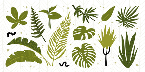 Collection of leaves of wild and domestic tropical plants. Tropical exotic leaves and branches set. Nature eco-friendly design concept. Vector illustration.