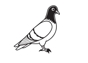 Obraz premium Pigeon bird silhouette vector illustration Design