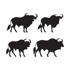 Ankole Watusi Silhouette Vector - High-Quality Black and White Bull Illustration for Digital Use - Ankole Watusi Vector - Ankole Watusi Icon - Ankole Watusi Illustration

