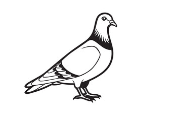 Obraz premium Pigeon bird silhouette vector illustration Design