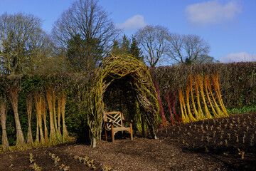 A woven willow arch contains a colourful coppiced dogwood tree and a rustic wooden chair. © SteveGill - Visuals