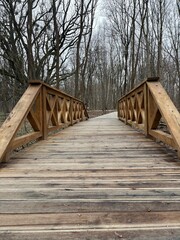 Obraz premium wooden bridge in the forest