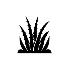 creative details Desert Grass Icon vector illustration