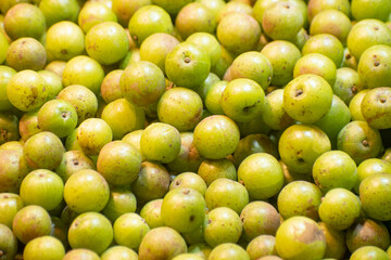 Fresh amla fruit Phyllanthus emblica with green skin and sour taste.