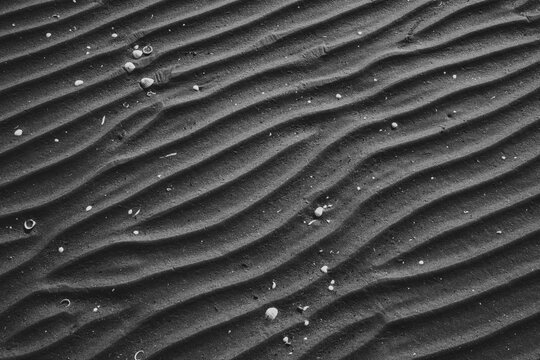 Spiaggia - Pattern Bianco e Nero