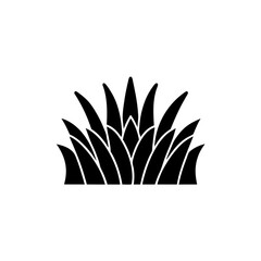 creative details Desert Grass Icon vector illustration
