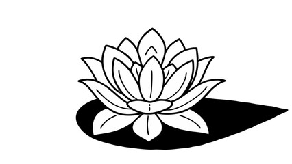 Minimalist white lotus flower with shadow 