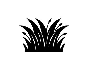 creative details Spring Grass Icon vector illustration