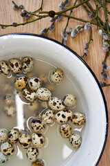 Top view of quail eggs in an enameled bowl of water