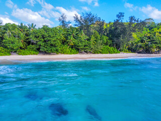 Blue sea and green vegetation in a tropical beach