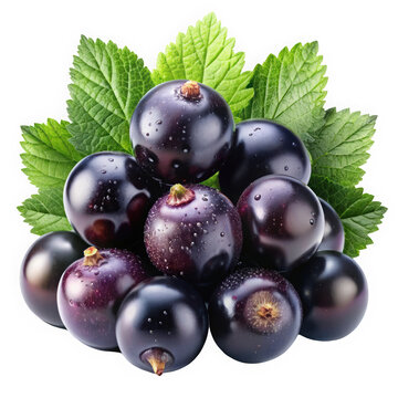 A vibrant cluster of fresh blackcurrant berries on green leaves, showcasing glistening droplets of water for a refreshing look.