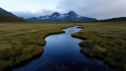 Serene mountain meadow with flowing stream.  A tranquil landscape of tall grasses bordering a meandering stream, leading to a distant mountain range. 