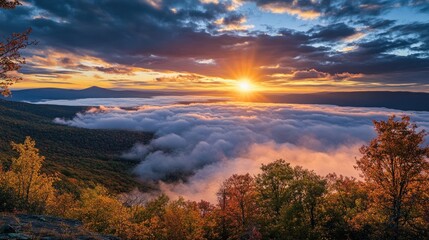 Majestic sunrise over a sea of clouds, with vibrant autumn foliage on a mountain peak.